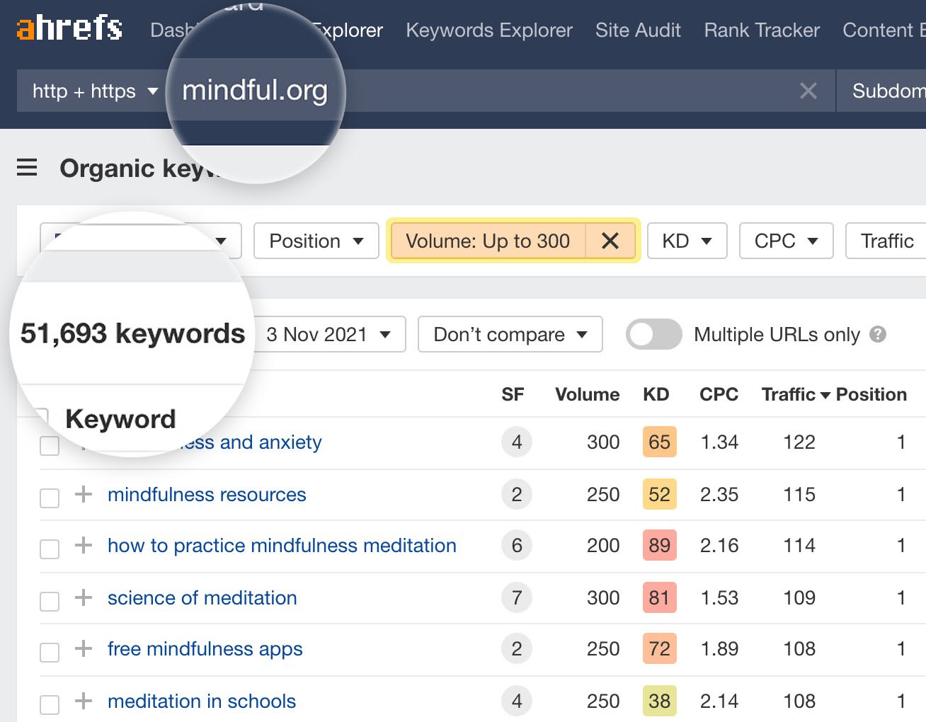 Competitors' long-tail keywords in Site Explorer